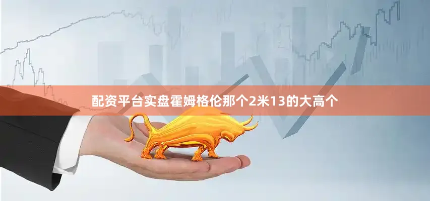 配资平台实盘霍姆格伦那个2米13的大高个